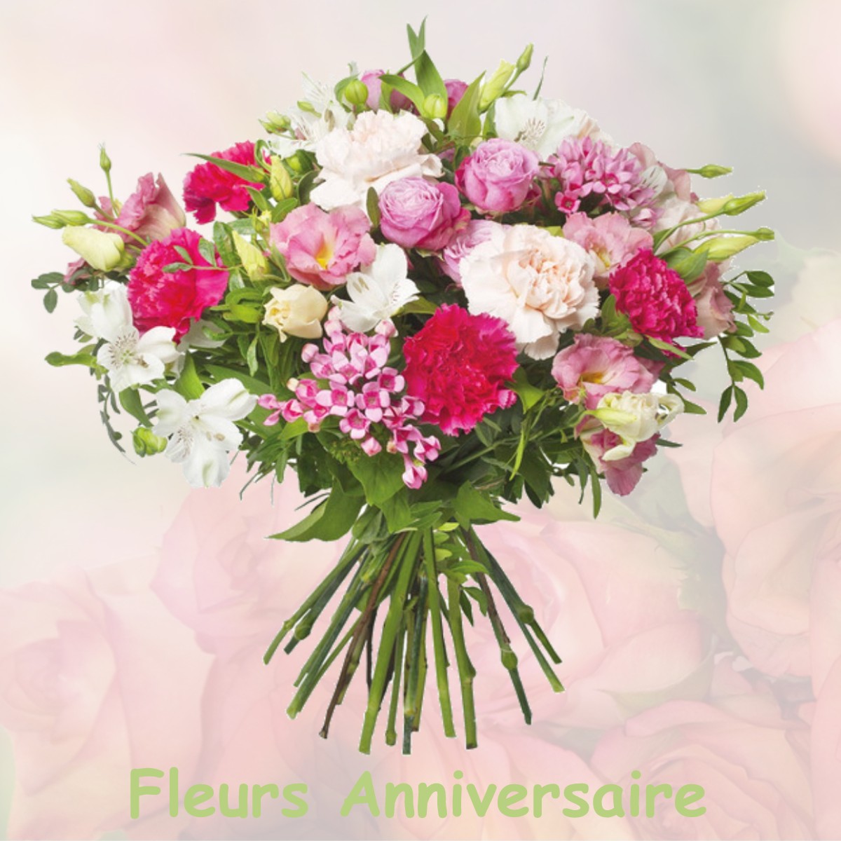 fleurs anniversaire SALINS-LES-BAINS
