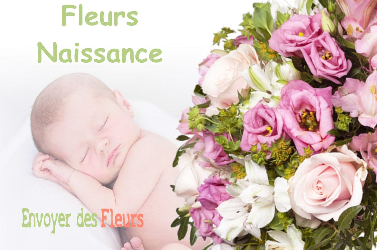 lIVRAISON FLEURS NAISSANCE à SALINS-LES-BAINS