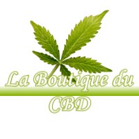 LA BOUTIQUE DU CBD SALINS-LES-BAINS 